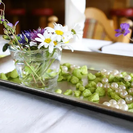 ホテル ゾンネンホテル ソンダネラ ゾンネック 3*